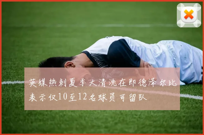 英媒热刺夏季大清洗在即德泽尔比表示仅10至12名球员可留队